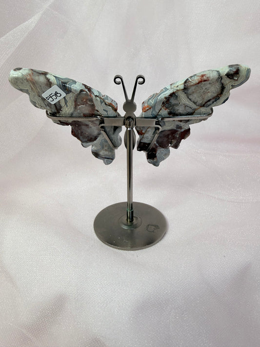 Mexican Agate Butterfly