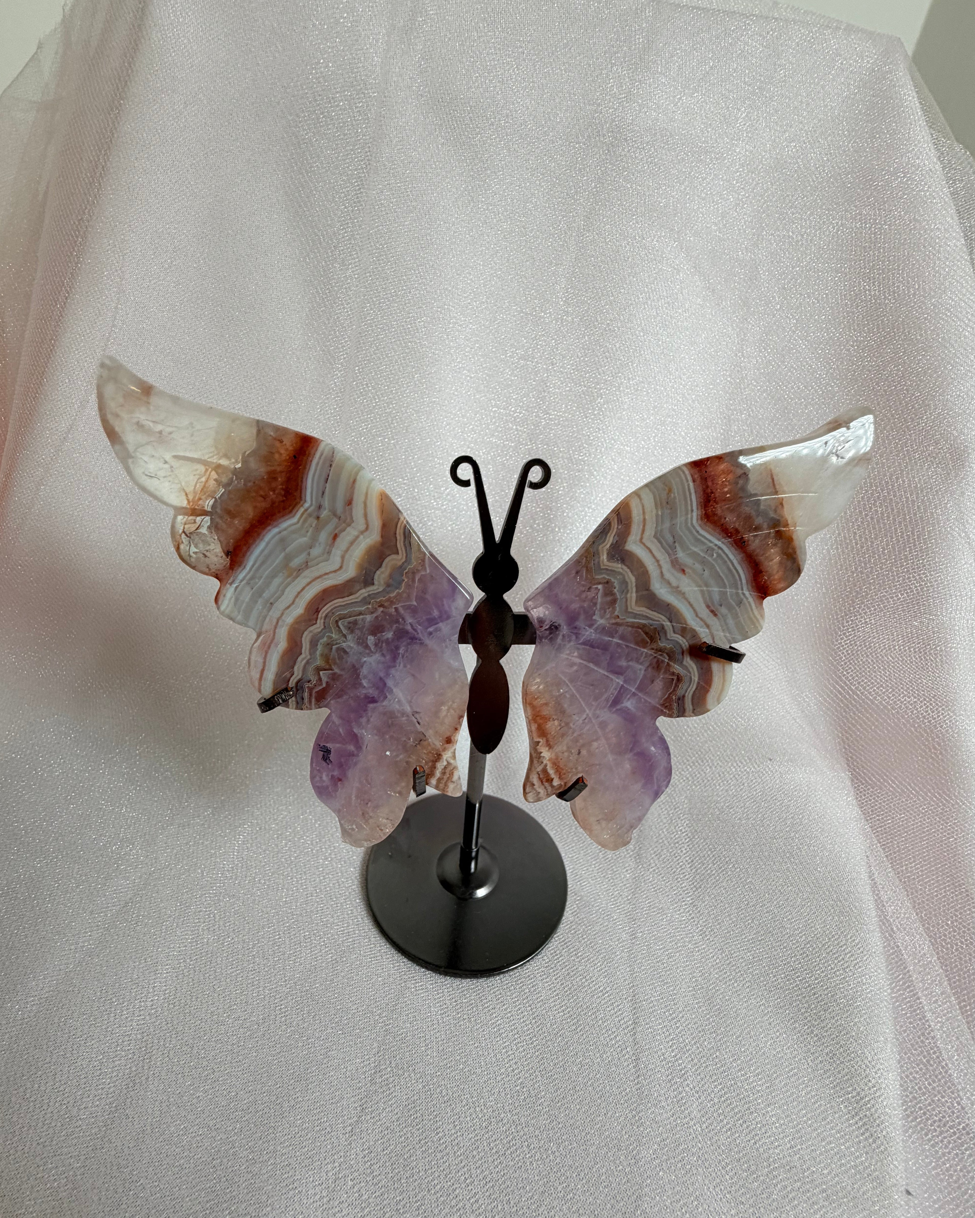 Lace Amethyst Butterfly 77A