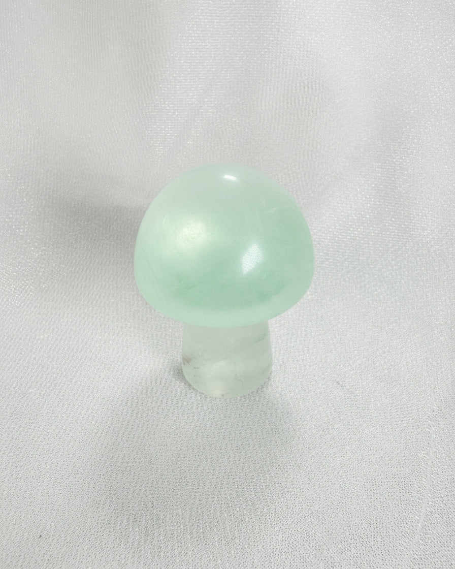 Flourite Mushroom 18F