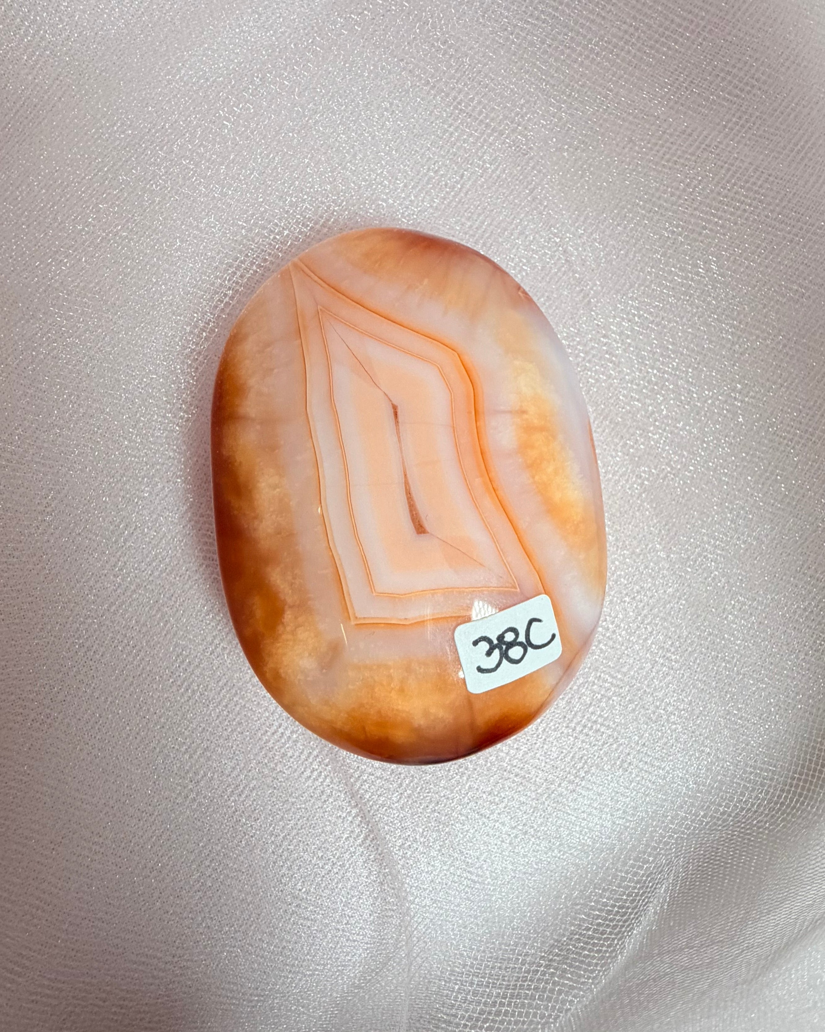 Carnelian Agate Palm