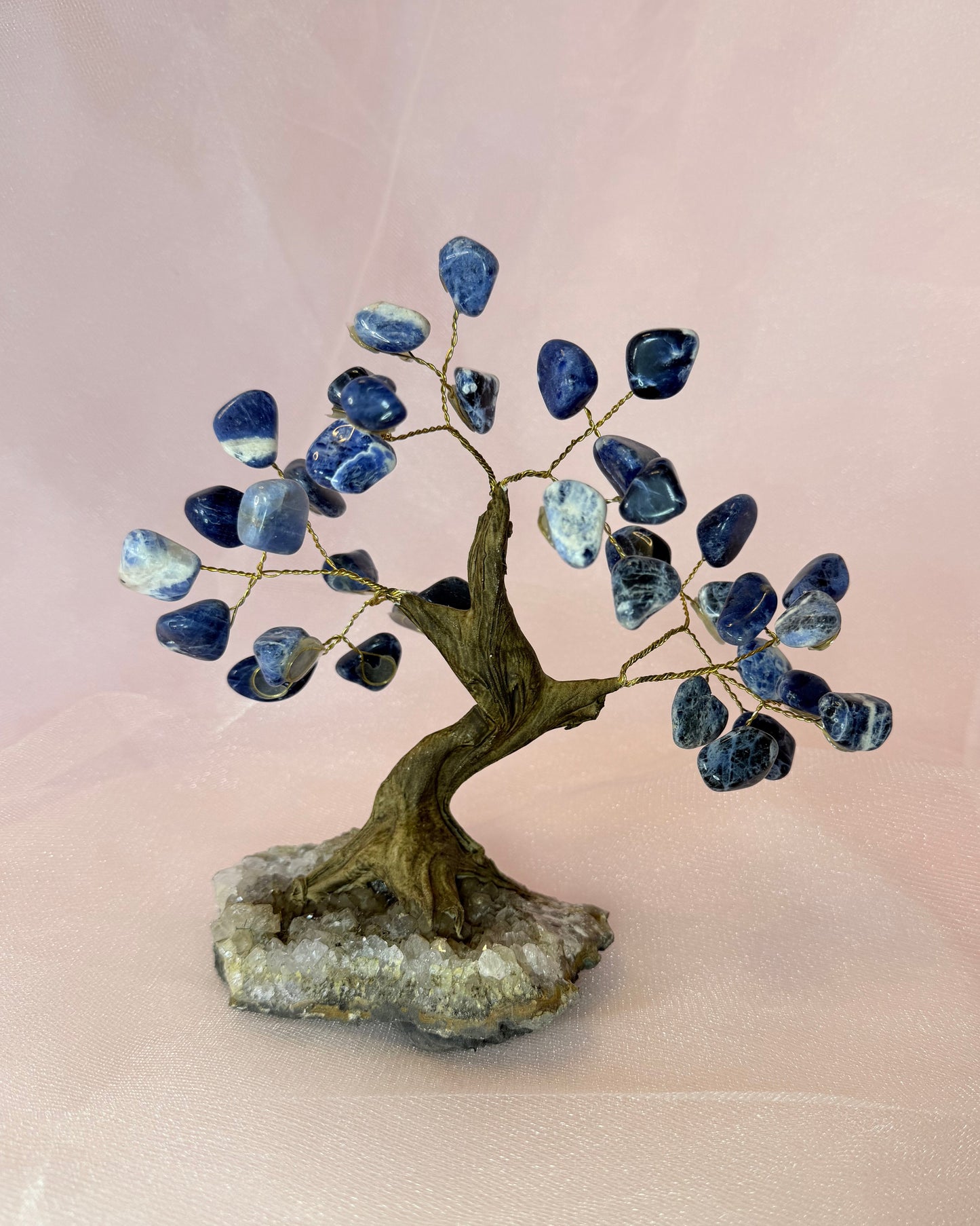 Sodalite Tree of Life, Amethyst Base