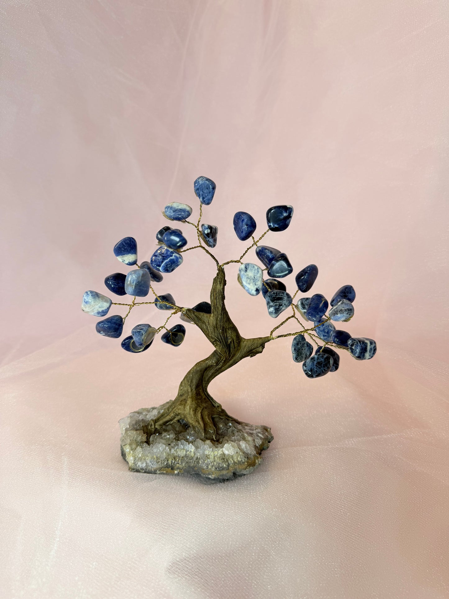 Sodalite Tree of Life, Amethyst Base