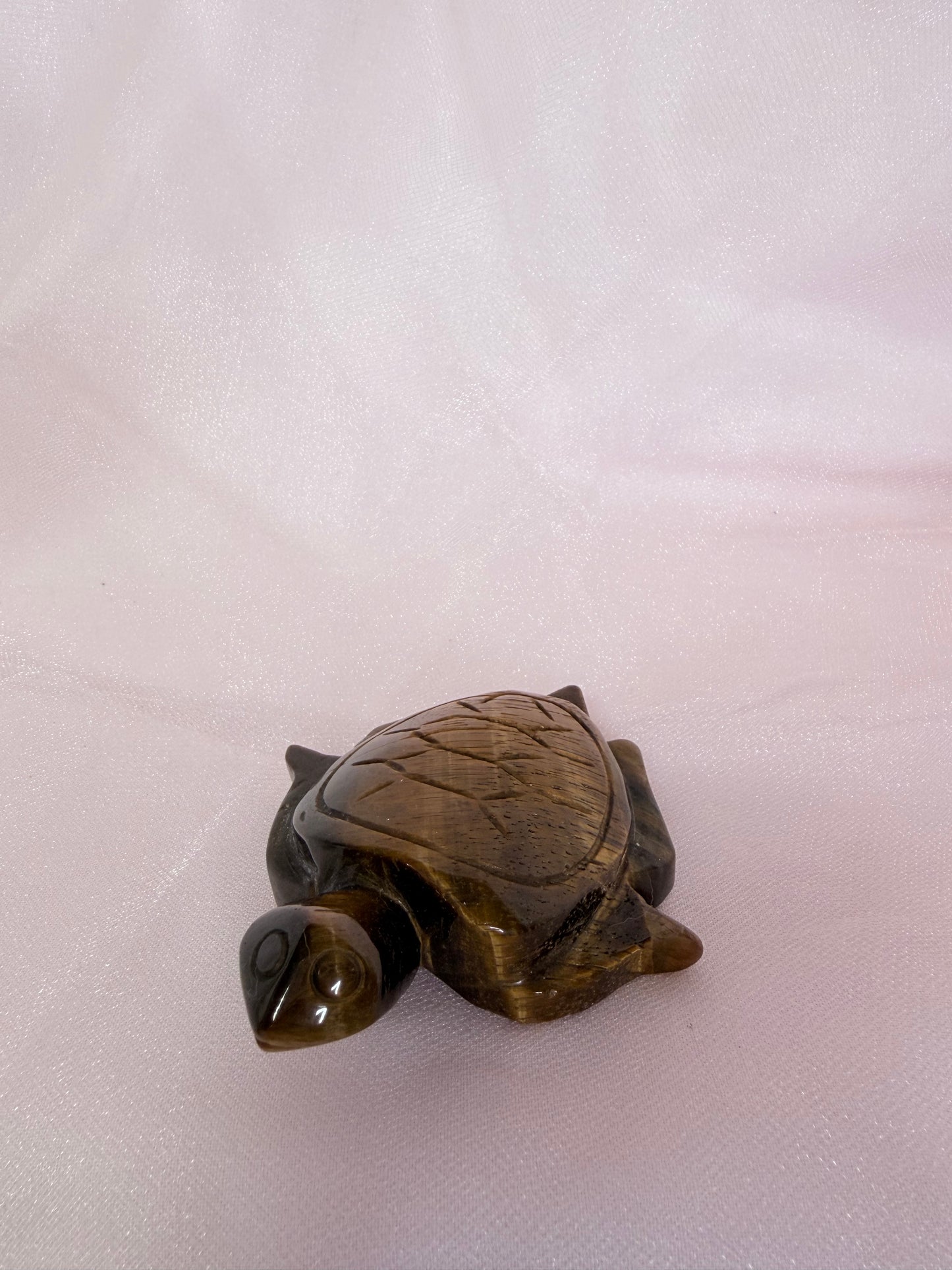 Tigers Eye Turtle Carving