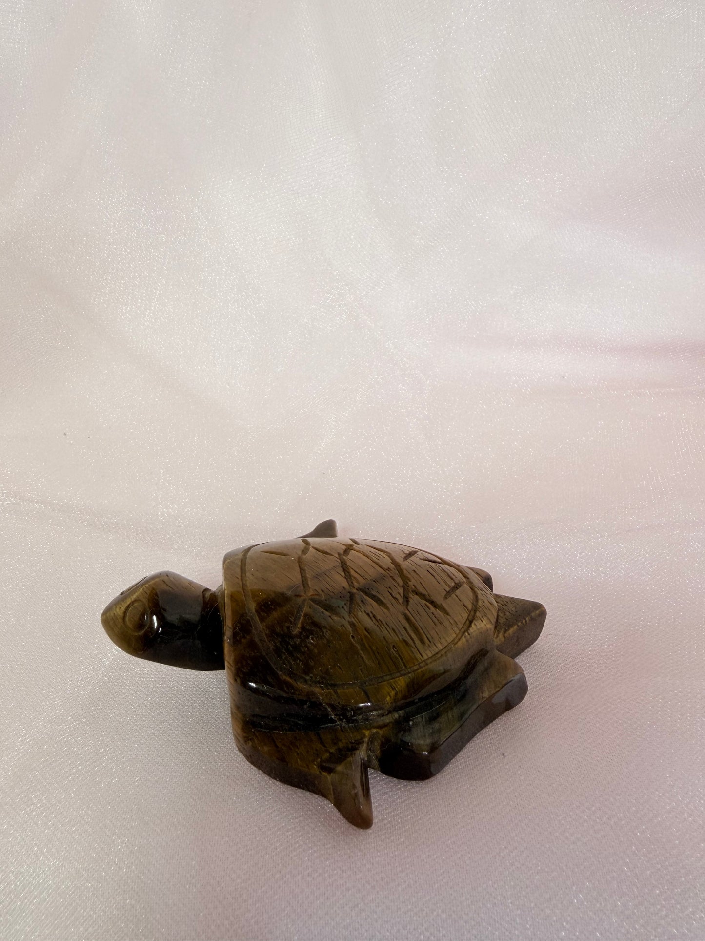 Tigers Eye Turtle Carving