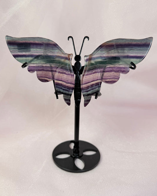Rainbow Flourite butterfly on Stand